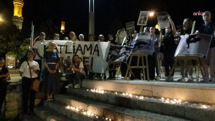 Edirne'de yurttaşlar ölen sokak hayvanları için eylem yaptı