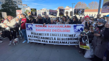 Valiliğin sokakta yaşayan hayvanları besleme yasağına tepki: Ölüme terk etmeyeceğiz