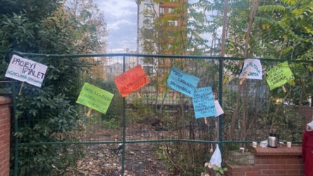 Kozyatağı’nda tarihi ağaçlara kıyım: Mahalle halkı “Çınaraltı Savunması” ile direniyor