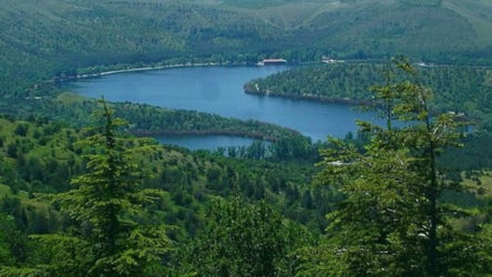 ODTÜ ormanına AVM tehditi