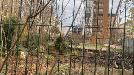 Kozyatağı'ndaki tarihi çınarların olduğu alana iş makinaları girdi