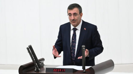 Cevdet Yılmaz: Altınla alım gücü hesabı yapılmaz