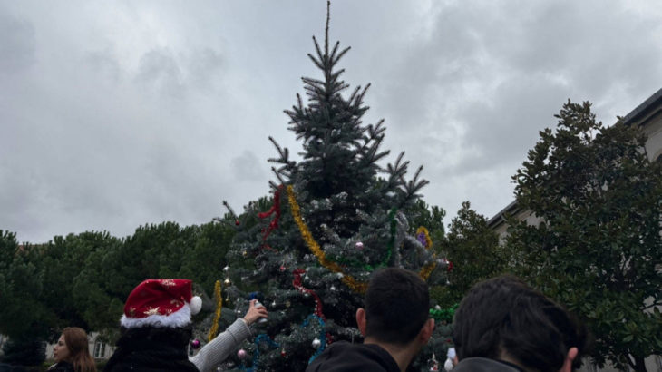 YTÜ öğrencilerinin yıl sonu ağaç süsleme etkinliğine ÖGB müdahalesi: Rektörlükten açıklama