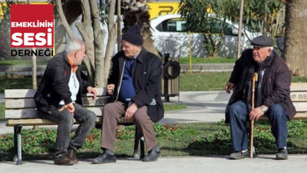 Emeklinin Sesi Derneği'nden AKP'nin sefalet zammına tepki: AKP zammını al başına çal!