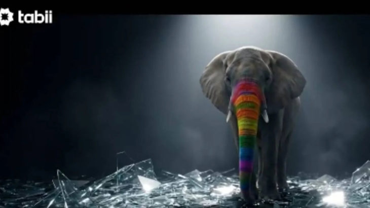 TRT, LGBT karşıtı belgeselin ilk fragmanını yayınladı