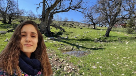 Gülistan Doku dosyası: 'Mezar boşluğu' tespit edilmiş, 'ceset' bulunamamış