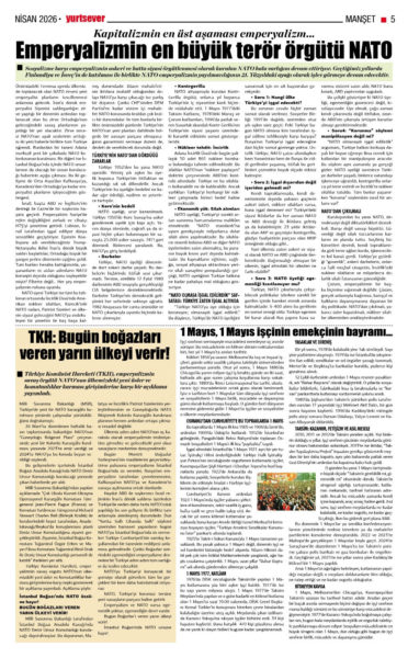 WhatsApp Image 2026-04-06 at 19.33.13 (1)