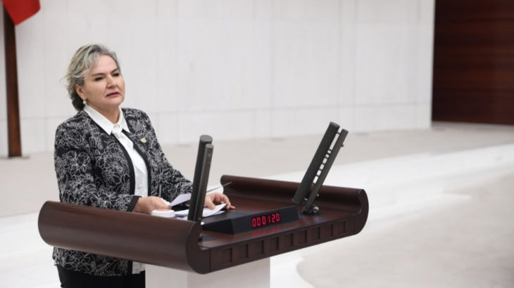 Nimet Özdemir CHP'den istifa etti