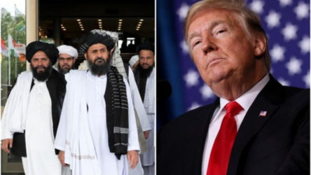 Taliban'dan Trump'a zeytin dalı: Yeraltı zenginliklerini ABD'ye peşkeş çekecekler