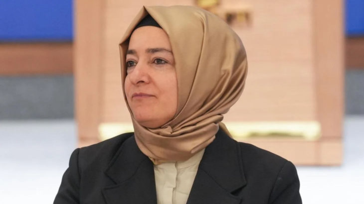 Yandaş Gazeteci Hadi Özışık: Fatma Betül Sayan her an açıklama yapabilir