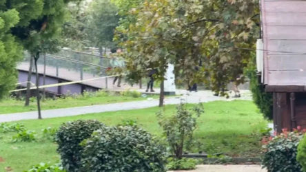 Sel felaketinde can kaybı 3'e yükseldi