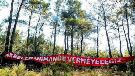 Danıştay Akbelen'de şirket lehine karar verdi